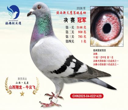 ��������ӥ�����ھ�
