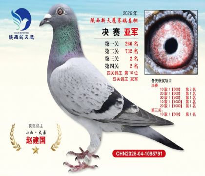 ��������ӥ�����Ǿ����Ĺظ���10����