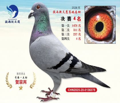��������ӥ����4��