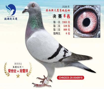 ��������ӥ����6��