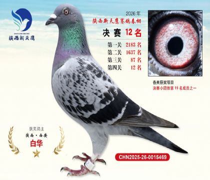 ��������ӥ����12��