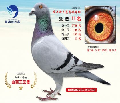 ��������ӥ����11��