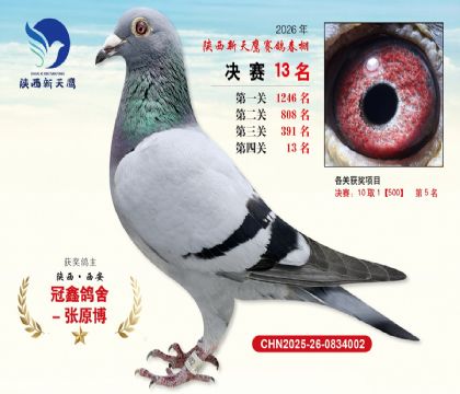 ��������ӥ����13��