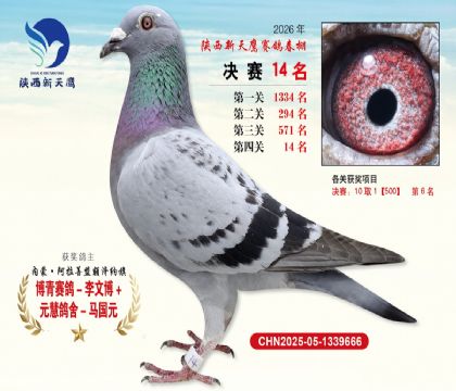 ��������ӥ����14��