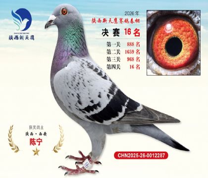 ��������ӥ����16��