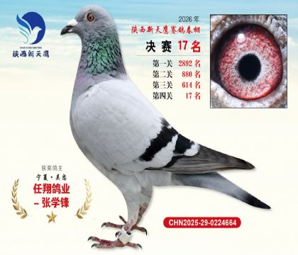 ��������ӥ����17��