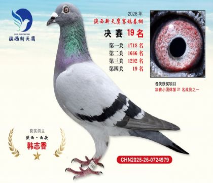 ��������ӥ����19��
