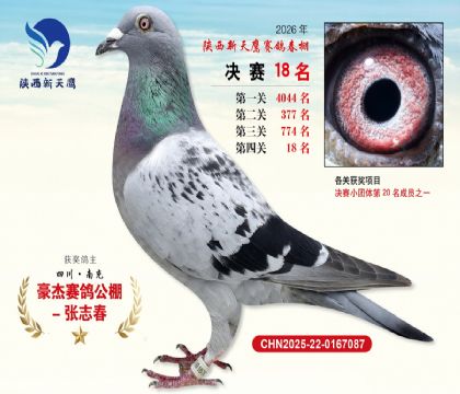 ��������ӥ����18��