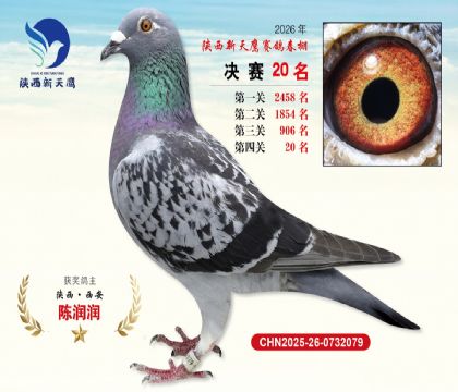��������ӥ����20��