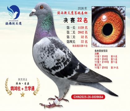 ��������ӥ����22��