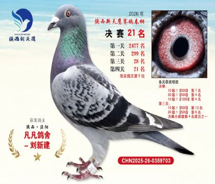 ��������ӥ����21��
