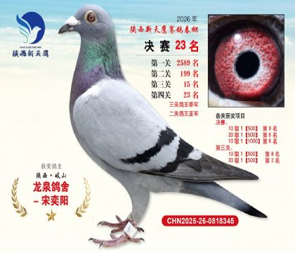 ��������ӥ����23��