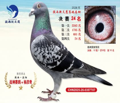 ��������ӥ����24��