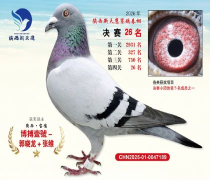 ��������ӥ����26��
