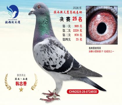 ��������ӥ����25��