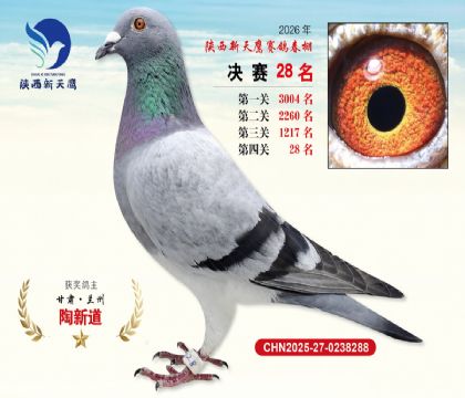��������ӥ����28��