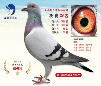 ��������ӥ����29��