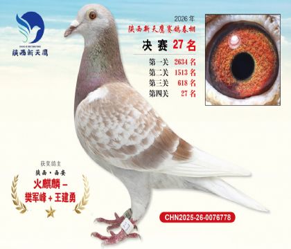 ��������ӥ����27��