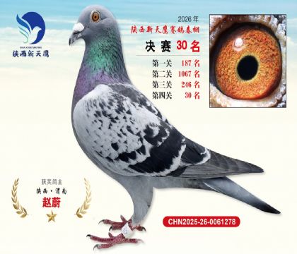 ��������ӥ����30��