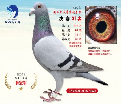 ��������ӥ����31�����Ĺظ����ھ���