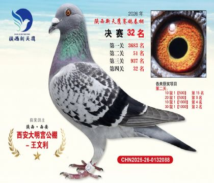 ��������ӥ����32��