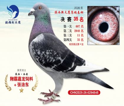 ��������ӥ����35��