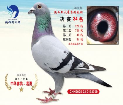 ��������ӥ����34��