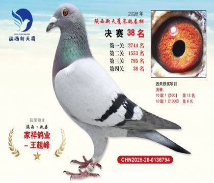 ��������ӥ����38��