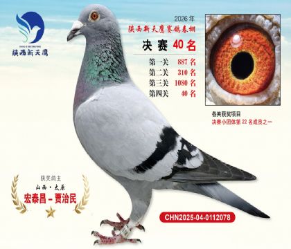 ��������ӥ����40��