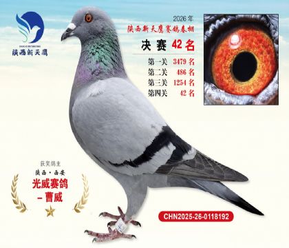 ��������ӥ����42��