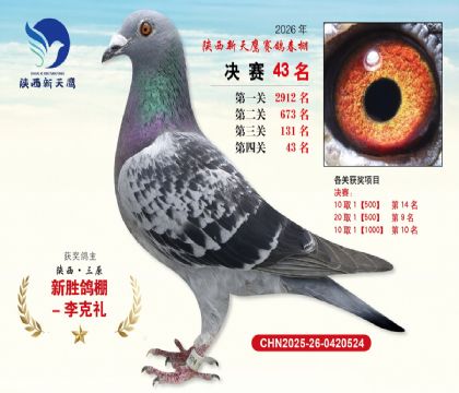 ��������ӥ����43��