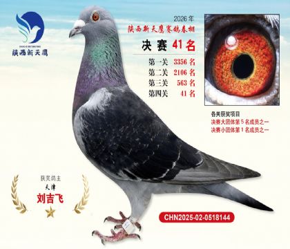 ��������ӥ����41��