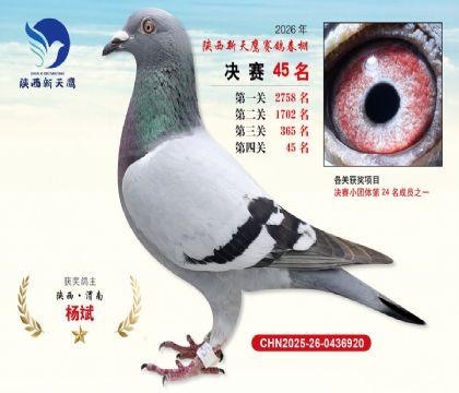 ��������ӥ����45��