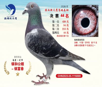 ��������ӥ����44�����Ĺظ���6����