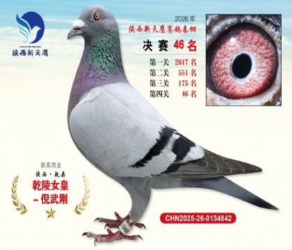 ��������ӥ����46��
