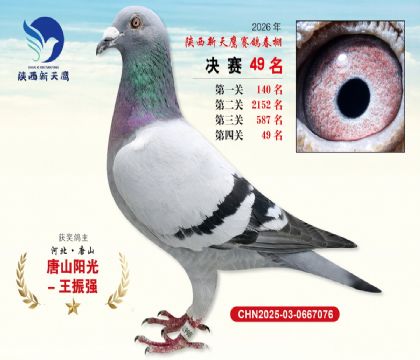 ��������ӥ����49��