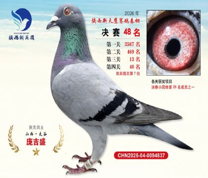 ��������ӥ����48��