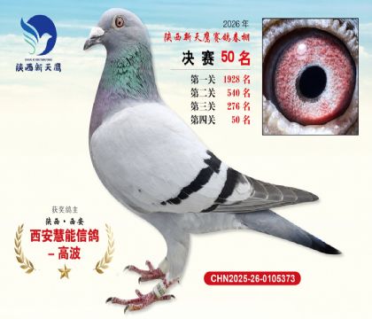 ��������ӥ����50��