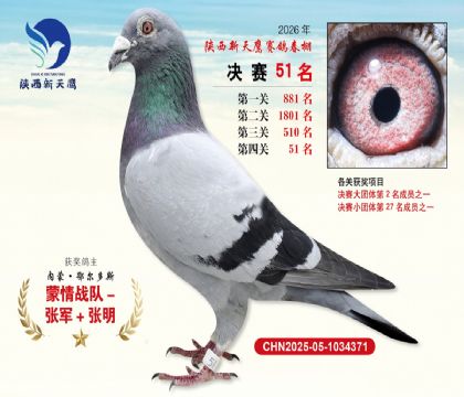 ��������ӥ����51��