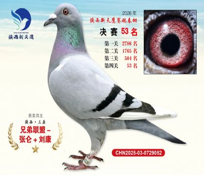 ��������ӥ����53��