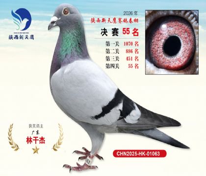 ��������ӥ����55��
