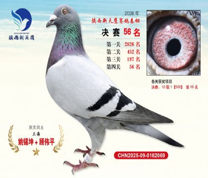 ��������ӥ����56��