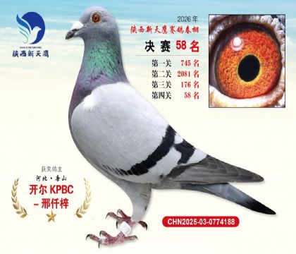 ��������ӥ����58��