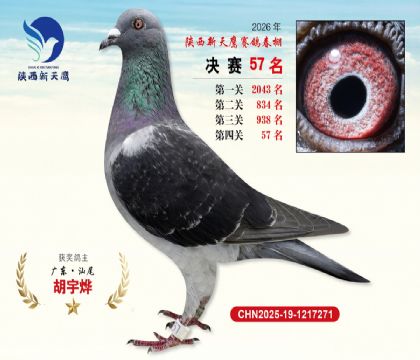 ��������ӥ����57��