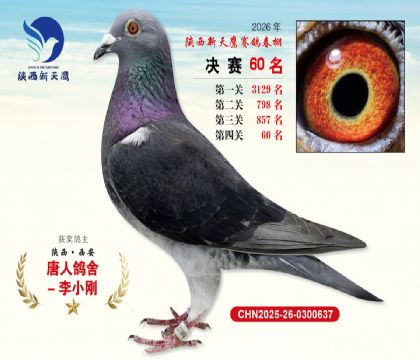 ��������ӥ����60��