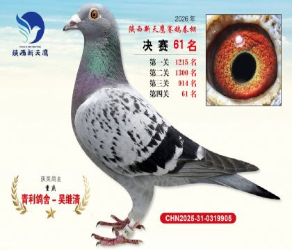 ��������ӥ����61��