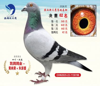 ��������ӥ����62��