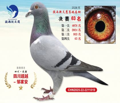 ��������ӥ����63��