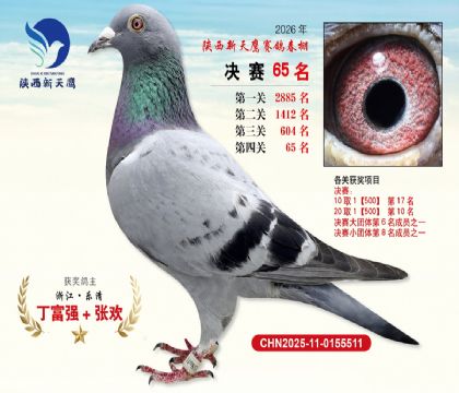 ��������ӥ����65��