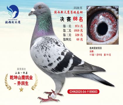 ��������ӥ����68��